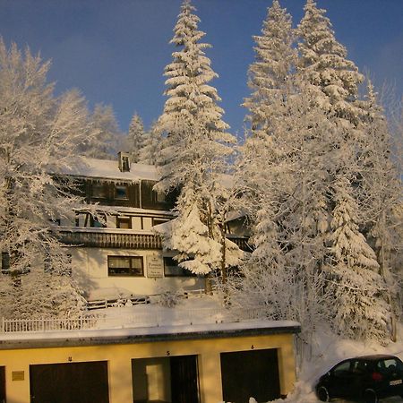 Pension Stiegelmeier Winterberg Exteriör bild