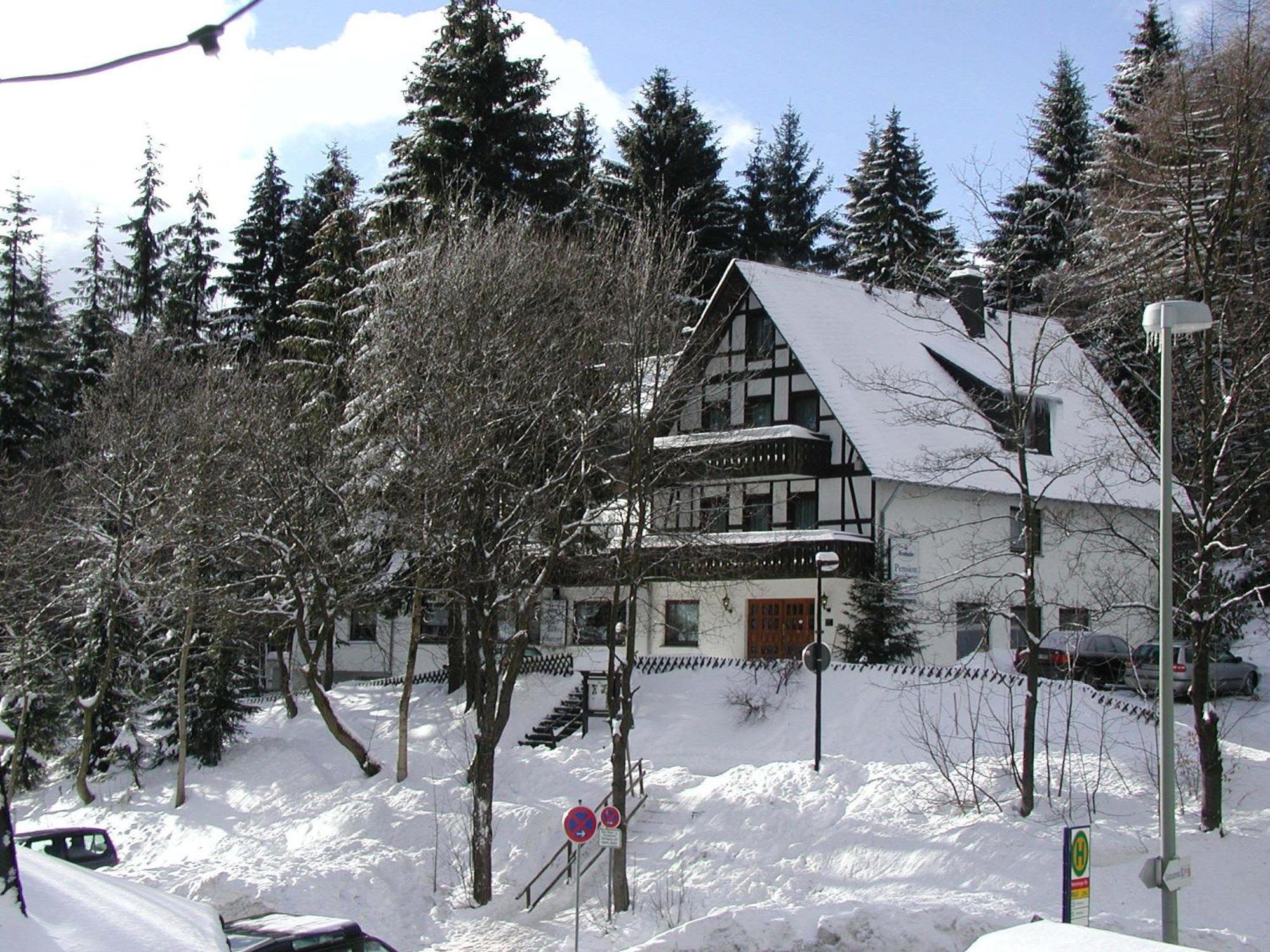 Pension Stiegelmeier Winterberg Exteriör bild